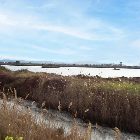 Le Zodiaque Ii-3 By Interhome Appartamento Hyères