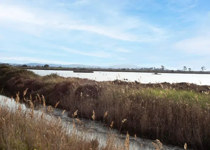 Le Zodiaque Ii-3 By Interhome Appartement Hyères